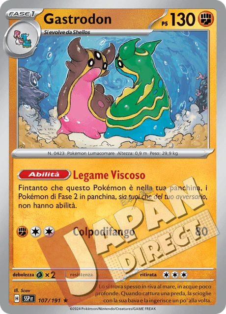 (SSP 107/191) Gastrodon  Rara